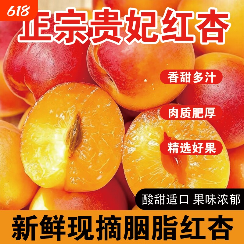 红杏山西当季新鲜现摘甜杏胭脂红杏甜核酸甜适口香甜多汁整箱包邮