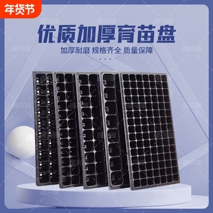 育苗穴盘种植神器套装营养钵蔬菜多肉扦插盒托盘发芽苗西瓜播种