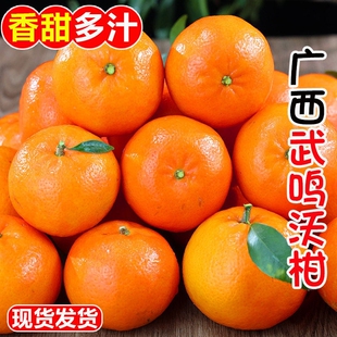 广西武鸣沃柑9斤新鲜水果当季 整箱沙糖蜜橘皇帝砂糖柑橘桔子橘子
