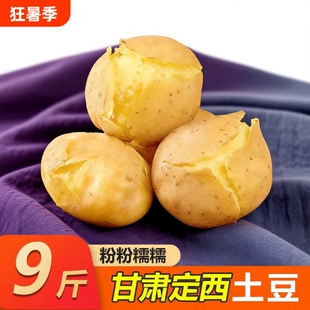 定西土豆2026甘肃土豆沙面新鲜面洋芋蔬菜黄心马铃薯