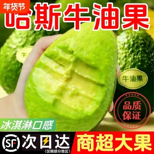 【N21°】云南哈斯牛油果当季新鲜现摘鳄梨水果宝宝辅食顺丰包邮