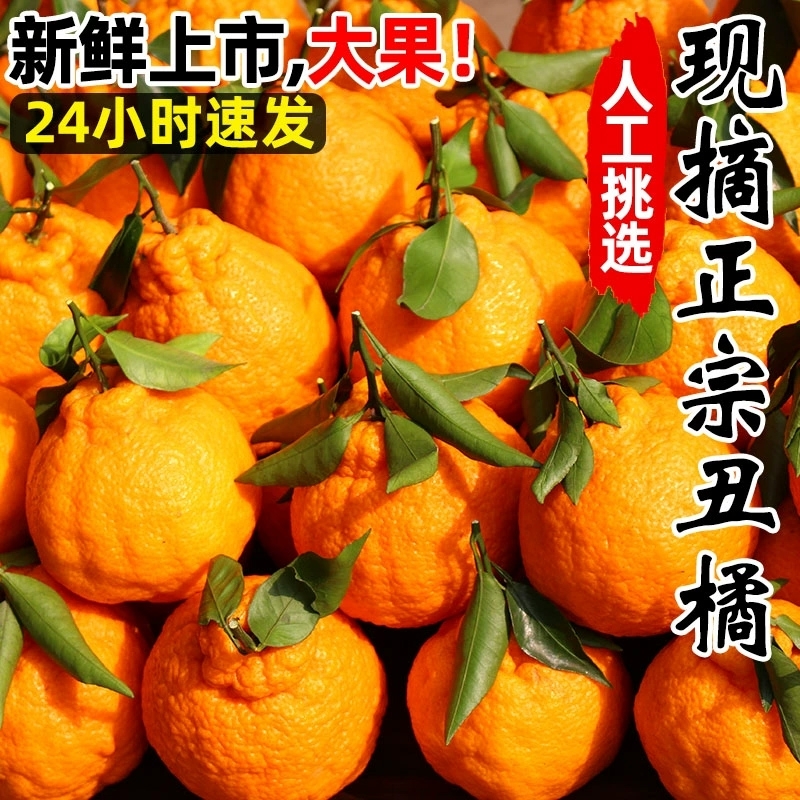 丑橘新鲜9斤整箱|超4000次加购