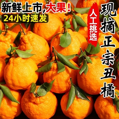 丑橘新鲜9斤整箱|超4000次加购
