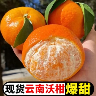 正宗云南爆甜沃柑爱媛新鲜桔子应当季 孕妇水果皇帝沙糖蜜橘砂糖