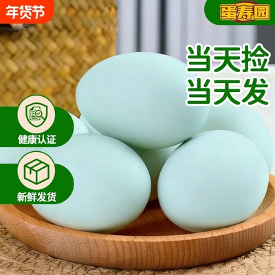 新鲜正宗农家散养虫草谷物蛋绿壳乌鸡蛋绿皮乌骨土鸡蛋整箱包邮