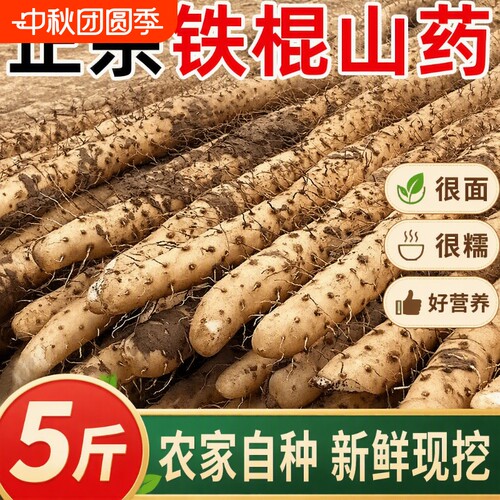 新鲜铁棍山药5斤|超3000次加购