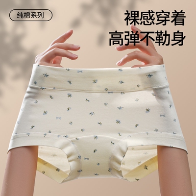 内裤女生纯棉2026新款抗菌加长裆无痕a类全棉女士四角裤平角短裤