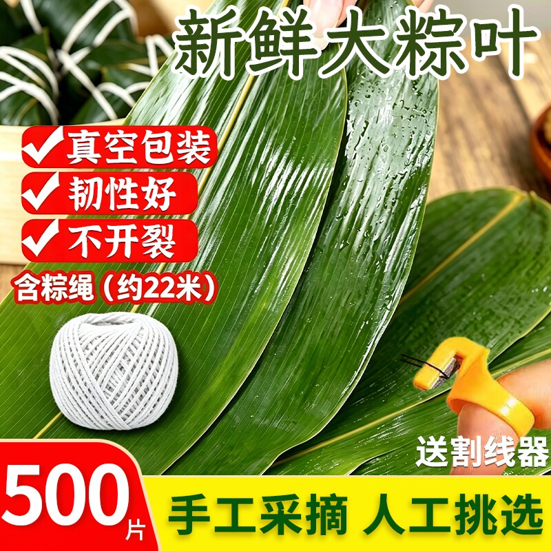 粽子叶大号粽叶新端午节鲜粽子叶端午节包粽子专用家用宽粽叶食材