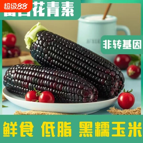 山西特产黑糯玉米真空包装