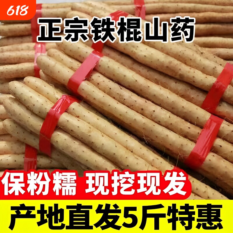 河北特产蠡县麻山药铁棍山药小白嘴山药产地直发新鲜山药辅食