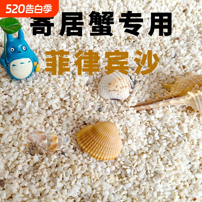 寄居蟹珊瑚天然热带鱼小沙沙滩海底世界酸洗草缸假山文玩石贝壳沙
