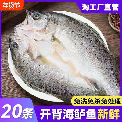 冷冻bq海鲈鱼新鲜|超3000次加购