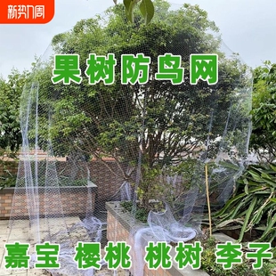 果树防鸟罩防鸟网防鸟用网果园尼龙透明鱼塘泥鳅塘用网樱桃枇杷