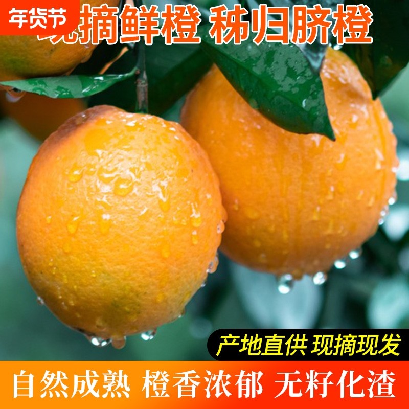 脐橙纽荷尔新鲜水果整箱包邮当季时令赣爱南媛冰糖果冻整箱橙子,水产肉类/新鲜蔬果/熟食,橙,淘宝优惠券,粉丝福利购,淘宝优惠卷