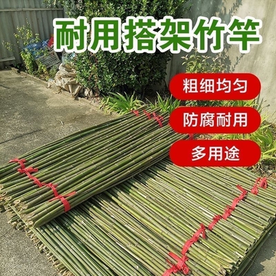 黄瓜豆角爬藤菜架竹竿架菜园搭架竹子户外篱笆围栏竹杆子批发栅栏