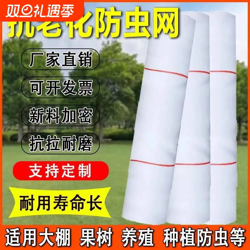 腾江防虫网纱网多用途抗晒抗冻