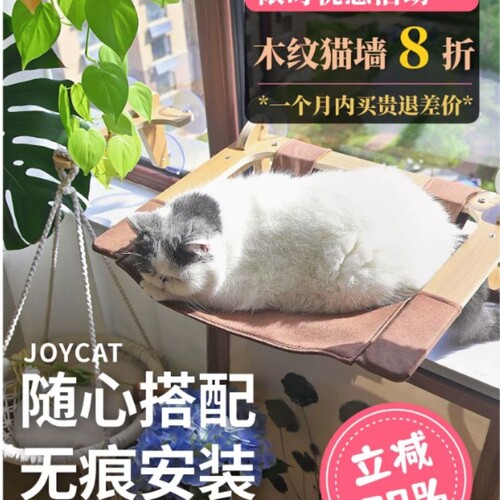 JoyCat天空猫墙吸盘玻璃太空舱猫爬架免打孔透明猫窝吊床宠物用品