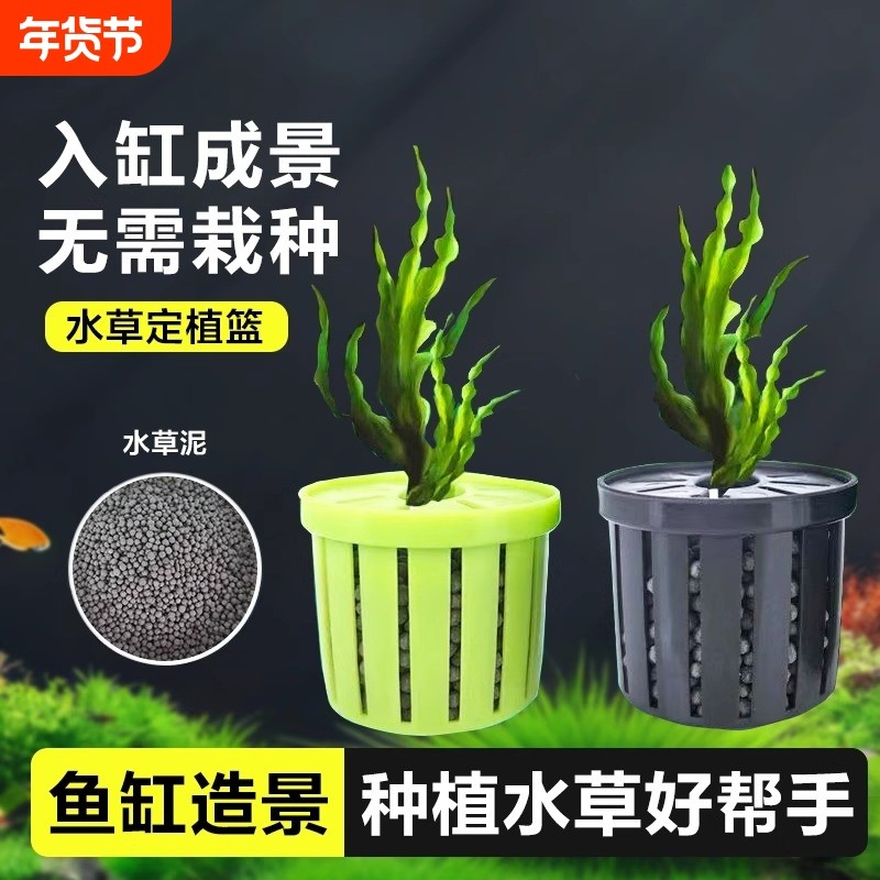 鱼缸水草定植篮沉底装饰杯固根器水草泥造景固定器水培种植阳台,鲜花速递/花卉仿真/绿植园艺,花盆,淘宝优惠券,粉丝福利购,淘宝优惠卷