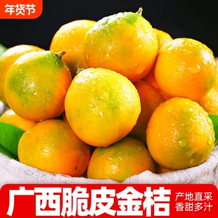 正宗广西融安脆皮金桔当季新鲜水果小金橘子整箱5斤装产地直采