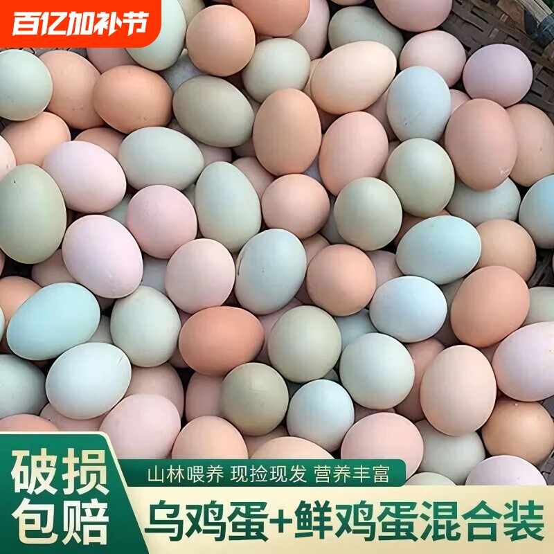 农家混合鸡蛋新鲜乌鸡蛋草鸡蛋谷物鸡蛋笨鸡蛋绿壳鸡蛋