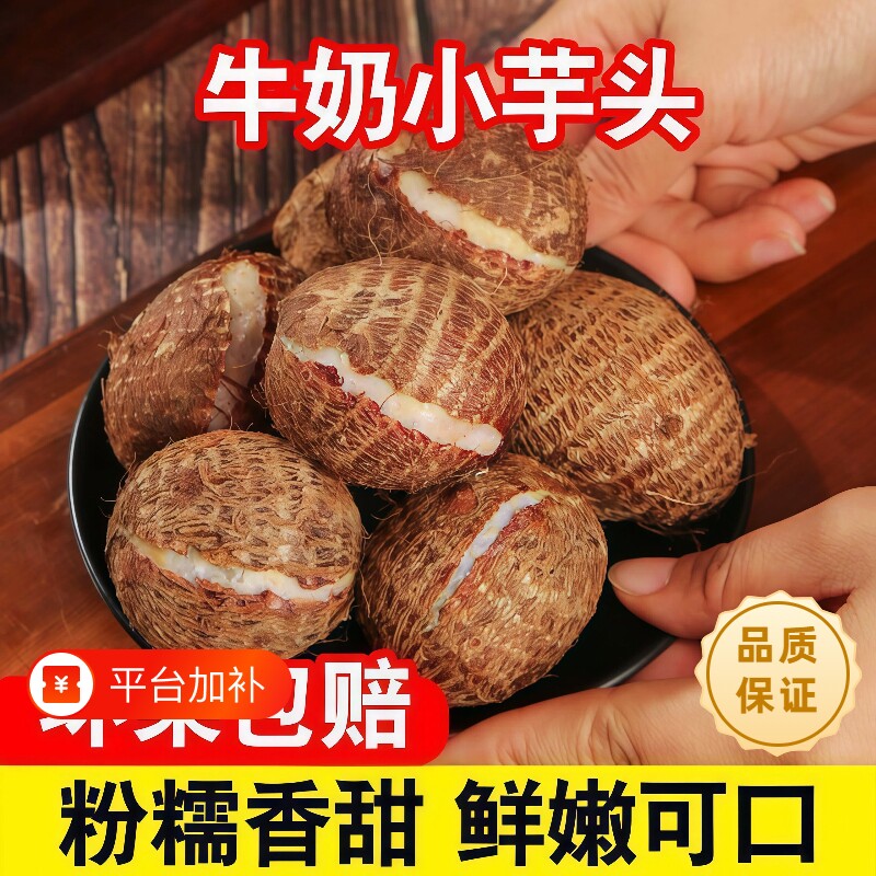 正宗云南牛奶小芋头小香芋5斤新鲜现挖粉糯香甜农家自种蔬菜大果
