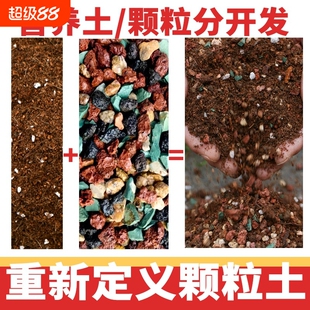 多肉专用颗粒多肉土肥料营养土专用肥铺面石纯通用彩虹石发酵扦插