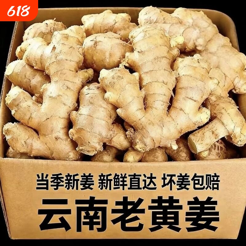 2026正宗云南小黄姜生姜5斤9斤新鲜蔬菜现挖高山沙姜嫩姜土姜包邮