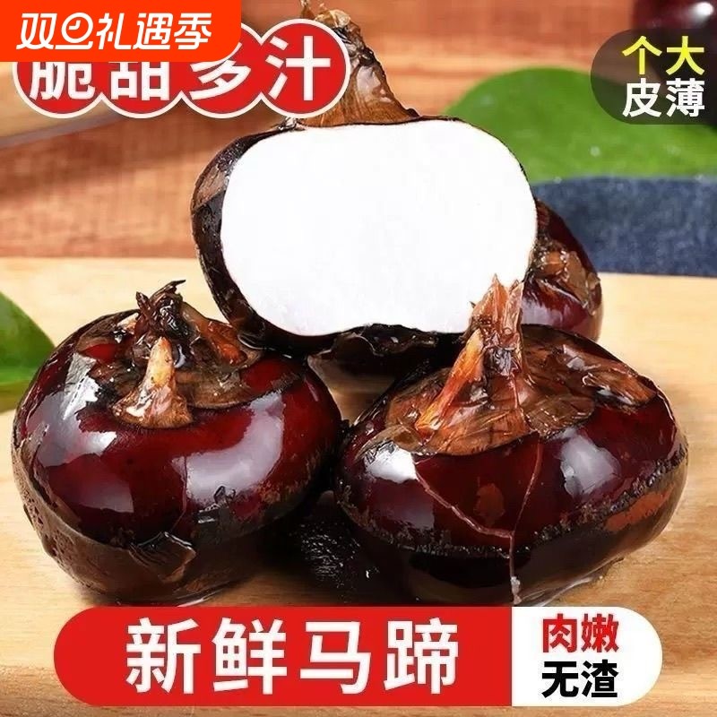 产地直发农家新鲜马蹄荸荠地栗