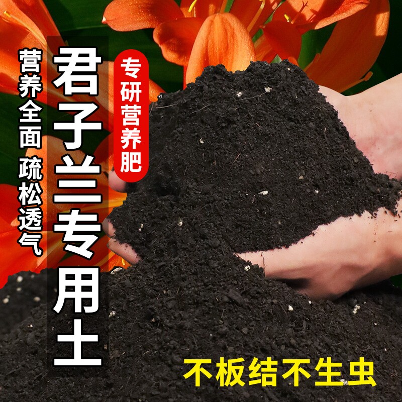 君子兰专用土花土养兰花专用营养土肥料栽种盆栽土通用型肥换盆土