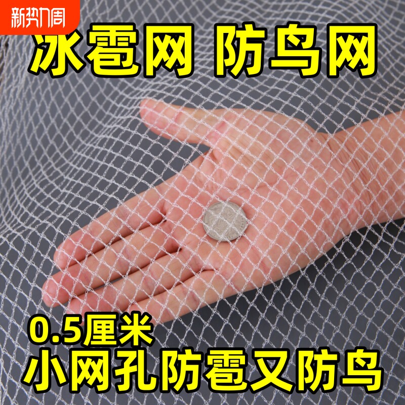 防雹网果园防鸟网樱桃葡萄嘉宝果树防小鸟用的网防冰雹专用防护网