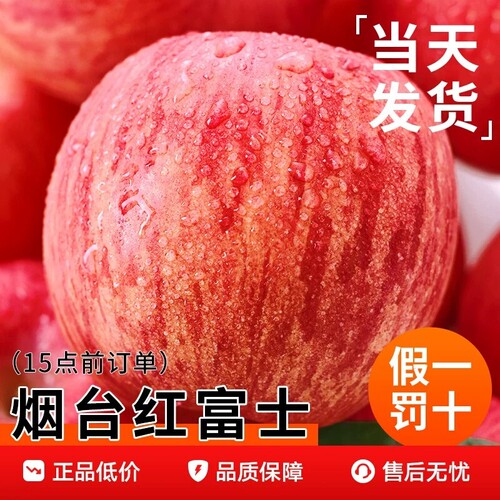 山东烟台红富士苹果当季栖霞红脆多汁甜整箱新鲜一级包邮鲜果好吃