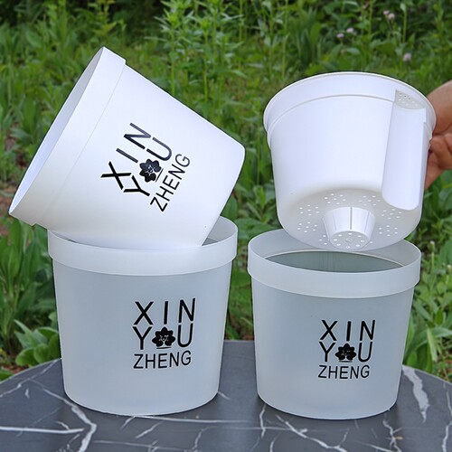 半透明双层水培盆|超6000次加购