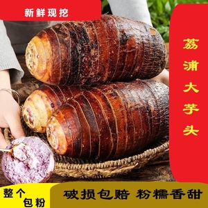 正宗广西桂林荔浦新鲜芋头现挖农家蔬菜紫藤香芋糯特产整箱批发