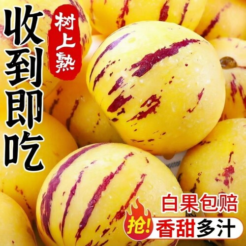云南石林人参果圆果树上熟清甜多汁人生果娃娃果七彩黄肉新鲜水果