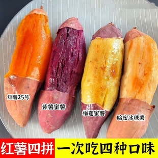 【四拼蜜薯】正宗四色蜜薯组合薯王糖心烟薯哈密冰糖薯紫薯榴莲蜜