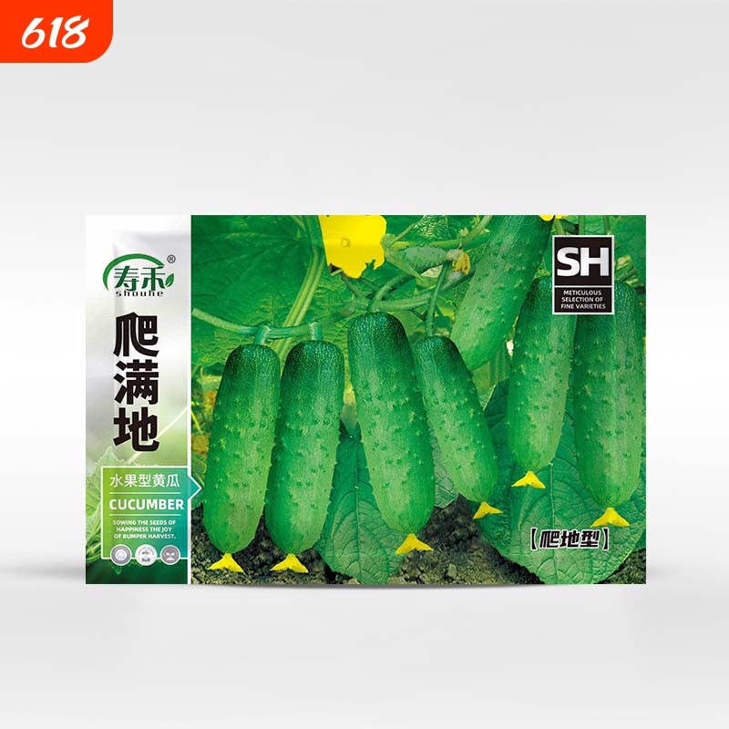 满地爬黄瓜苗种孑苗高产种子青瓜四季水果秧苗蔬菜子大全秋菜苗旱