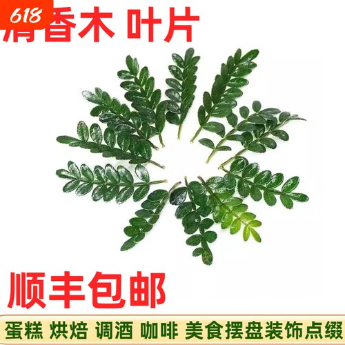 新鲜蛋糕装饰绿植清香木甜品蛋糕冰粉日料西餐烘培装饰摆盘花草
