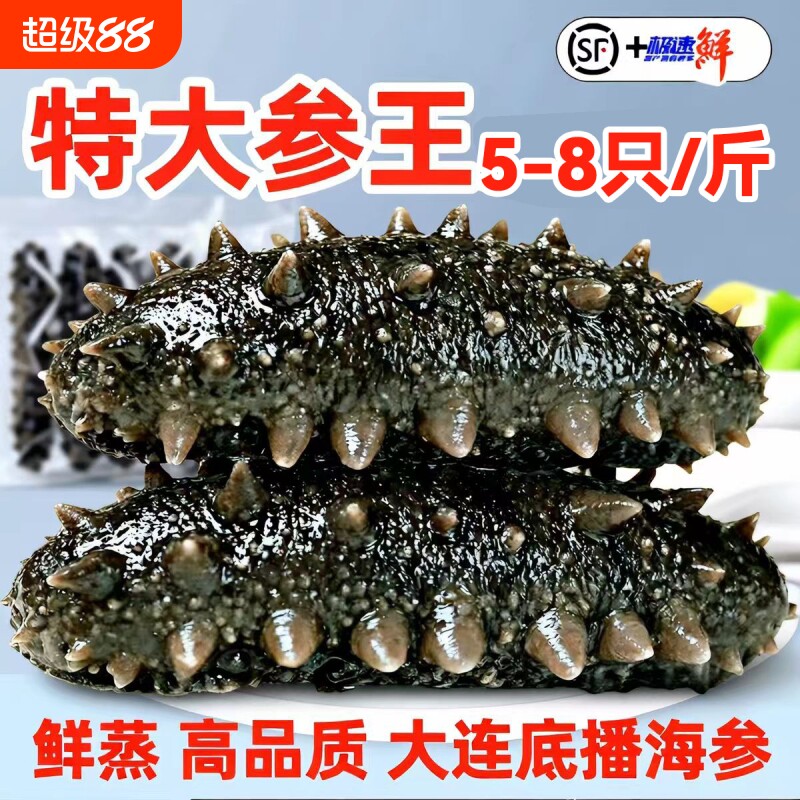 鲜蒸即食海参大连地标认证海生辽参刺参特价装非干货水产冷冻滋补图片