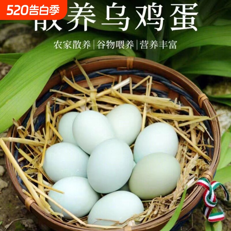 新鲜农村散养绿壳乌鸡蛋孕妇宝宝柴鸡蛋土鸡蛋笨鸡蛋五黑鸡普通
