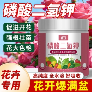 磷酸二氢钾肥料花卉专用叶面肥正品 农用蔬菜果树通用养花水溶肥料