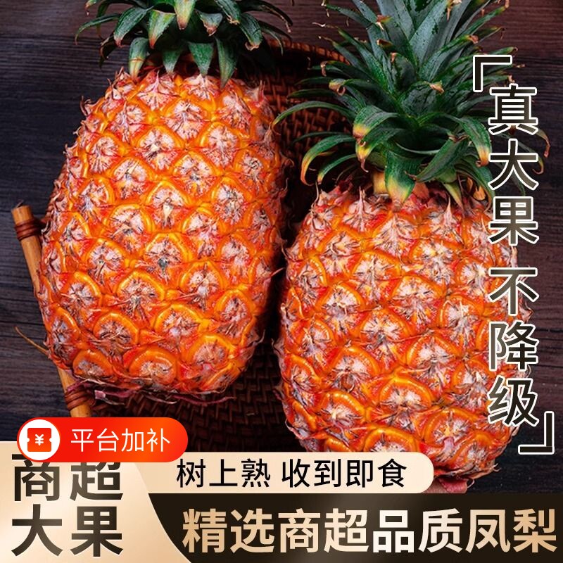 海南金钻凤梨新鲜水果手撕无眼菠萝特产大果8斤当季黄金凤梨8斤装