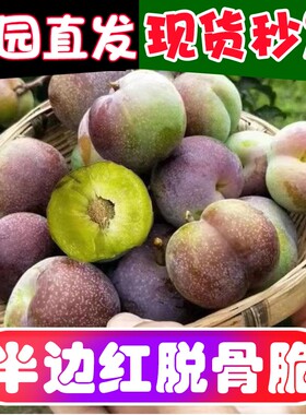 四川新鲜脱骨李半边红大果脆甜