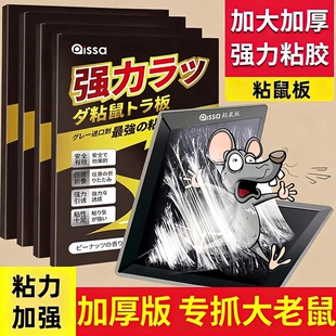 老鼠粘强力粘鼠板捕鼠神器强力胶粘大老鼠贴一窝端超强厨房家用贴