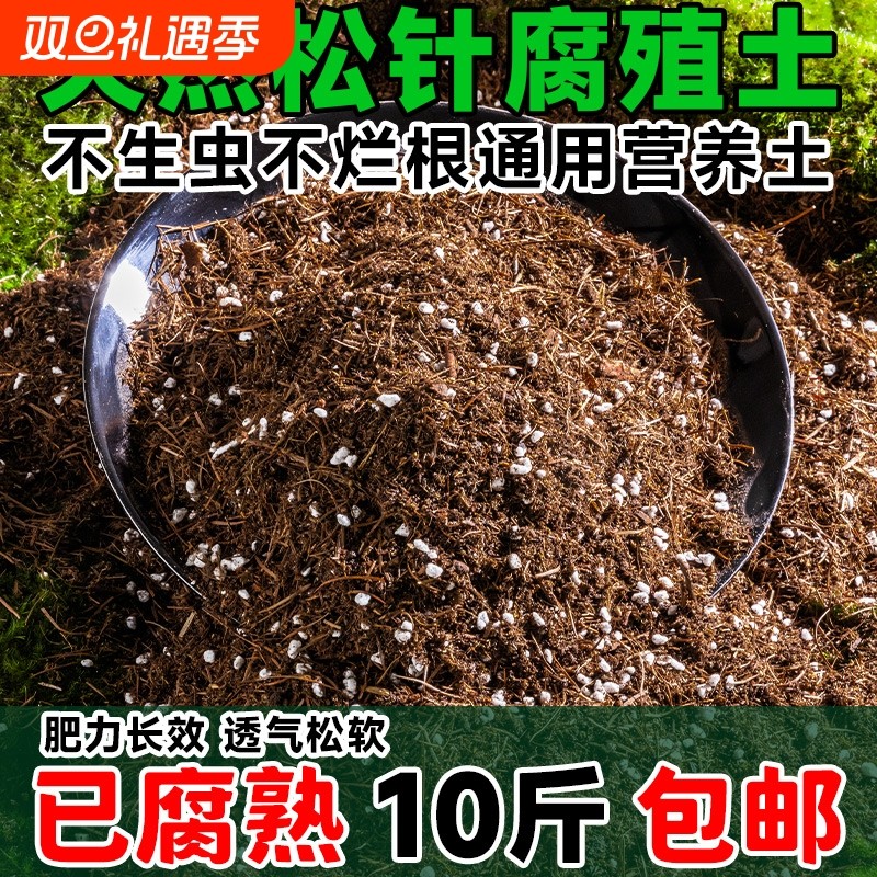 松针腐殖土天然腐叶腐熟纯君子兰花多肉泥炭营养土养花通用专用土