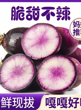 冰激凌甜心萝卜水果萝卜可生食紫皮萝卜山东3斤5斤一整箱批发包邮