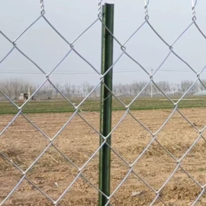 镀锌铁丝网围栏养殖羊牛猪钢丝网