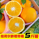 新鲜水果橙子整箱手剥橙果冻直供 当季 正宗湖南纽荷尔脐橙5斤 包邮