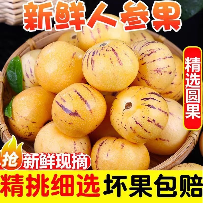 【树上熟】云南石林人参果熟果圆果黄心黄肉当季应季新鲜水果整箱