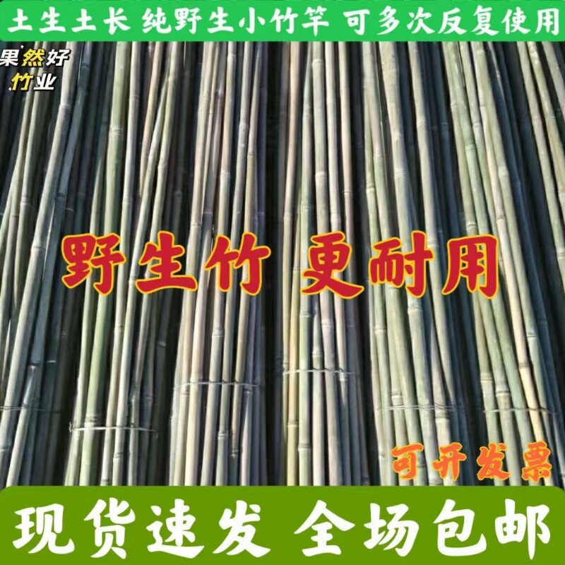 小竹子搭架菜园黄瓜豆角番茄架杆竹篱笆栅栏竹竿爬藤架支撑支架杆
