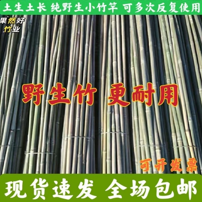 小竹子搭架菜园黄瓜豆角番茄架杆竹篱笆栅栏竹竿爬藤架支撑支架杆